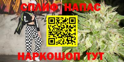прущие грибы Новокубанск