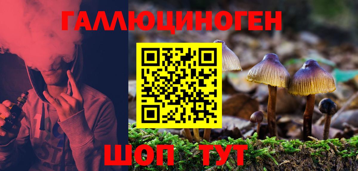 Унеча  Псилоцибиновые грибы Psilocybe  Вход с VPN 